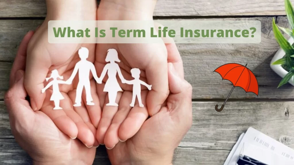 what-is-term-life-insurance