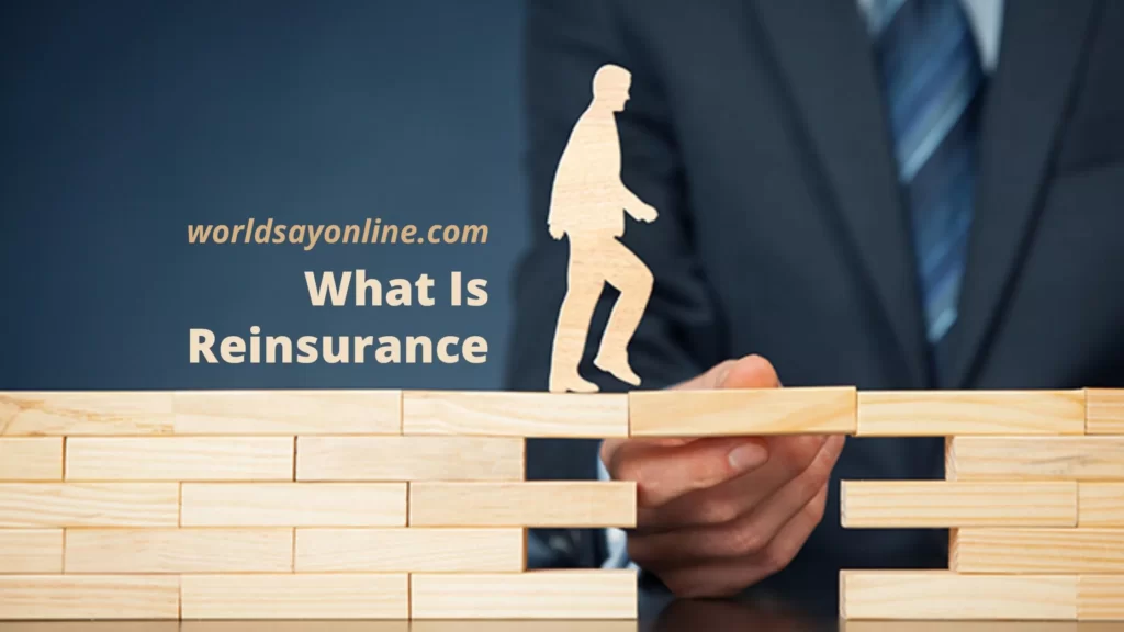 What Is Reinsurance